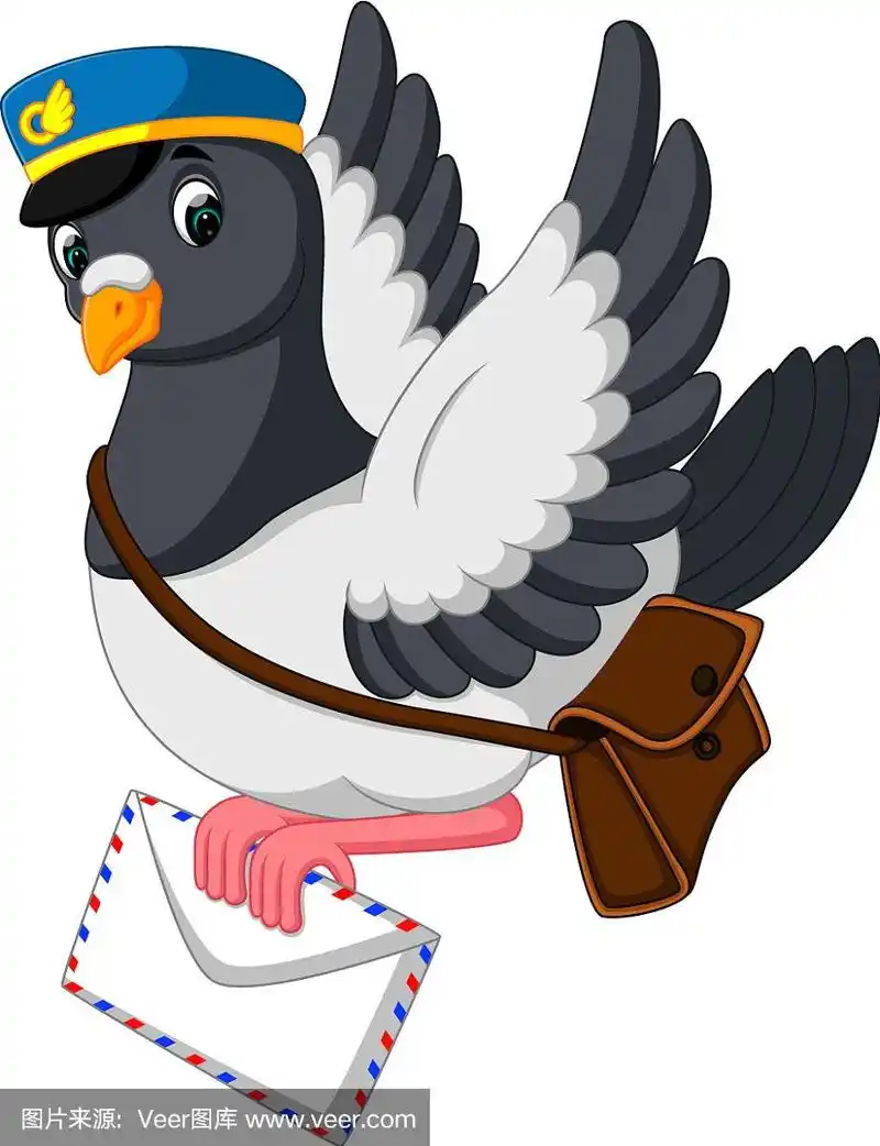 卡通搞笑鸽子鸟送信