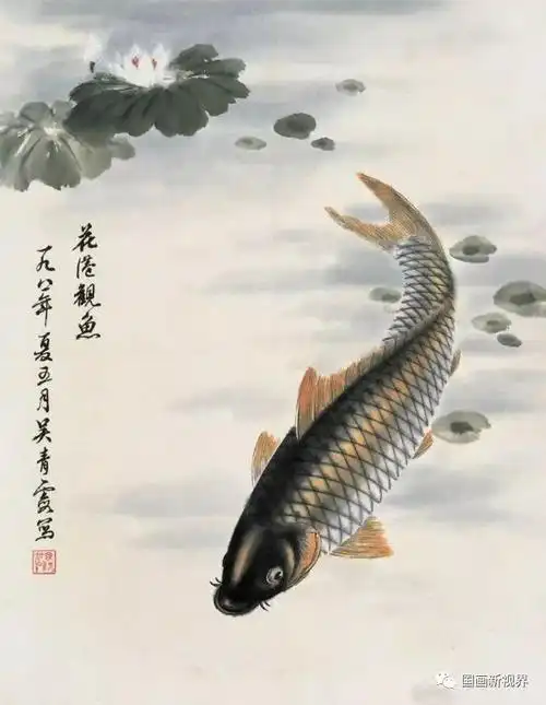 她才是画鱼的专家,令人拍案叫绝!