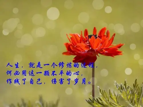 2019最经典的人生哲理句子语录,句句深入人心!