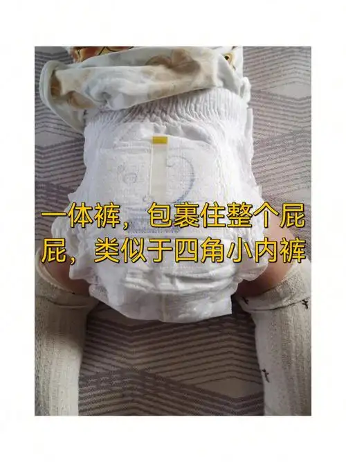 t型拉拉裤就相当于三角小内裤,就是一个纸尿裤粘上一圈腰围,一体裤