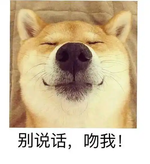 好玩的表情包聊天表情包装逼斗图表情包快来这里有好多表情包