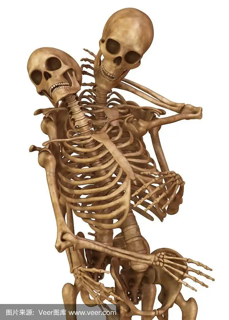 男人和女人的骷髅,摆着恋人的姿势.孤立在白色背景的3d插图