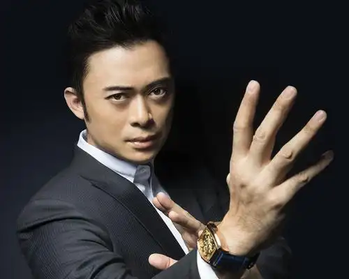 香港动作片演员甄子丹之后并没有沉寂