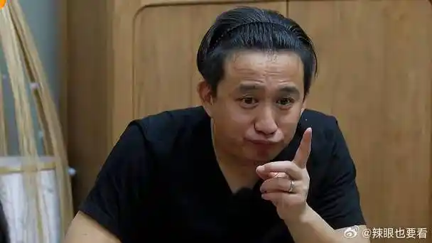 且听黄磊老师细细道来|黄磊|向往的生活_新浪新闻