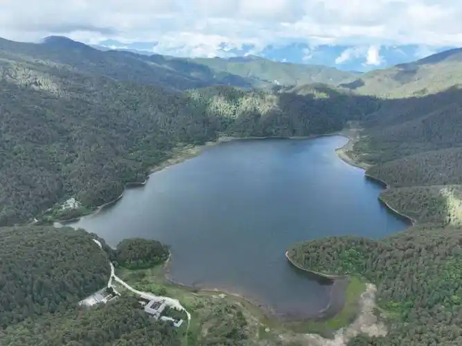 云龙天池保护区 | 滇金丝猴的快乐时光