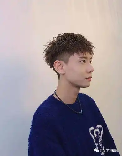 2021精选男士发型(200款) - 饼型图片大全 - 实验室设备网