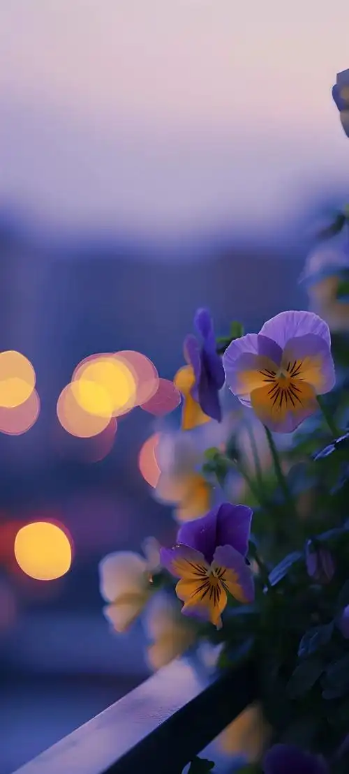 壁纸 花 桌面 1080_2395 竖版 竖屏 手机