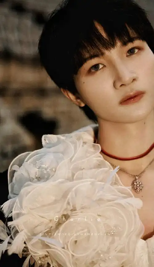 周深##周深tmea官宣