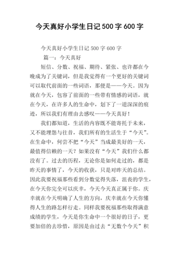 今天真好小学生日记500字600字.docx