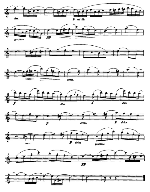 春之歌(长笛)笛箫谱