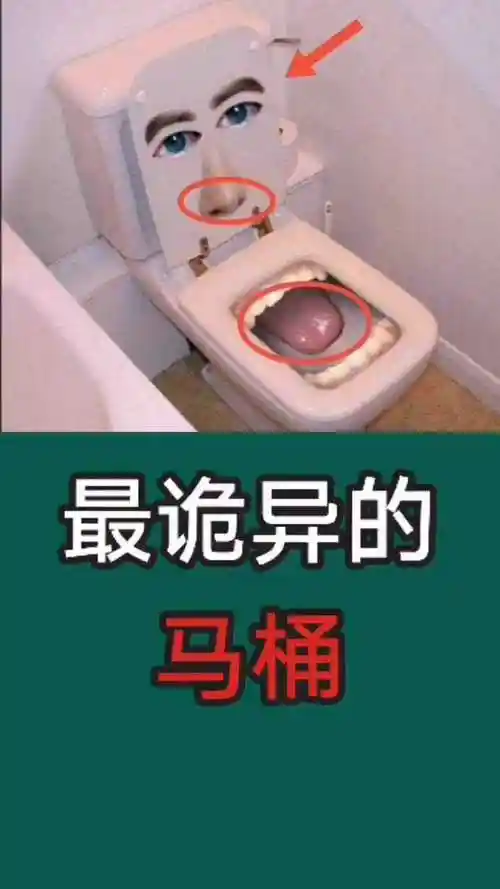 最诡异的马桶真的有点可怕