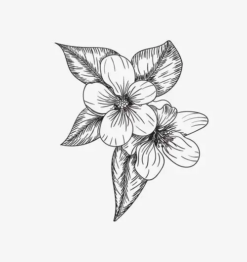 黑色线条花朵装饰