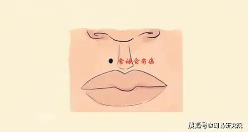 四,食禄仓有痣所谓的"食禄仓"位于嘴角的上方,人中靠下的左右两边位置