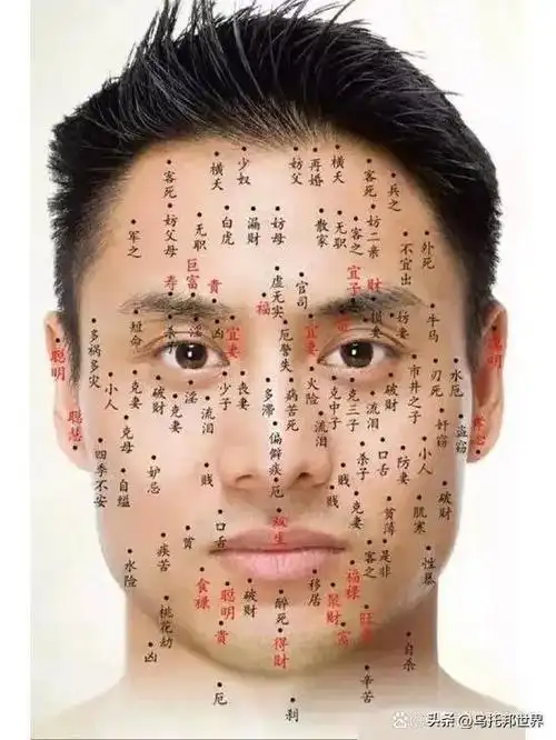 鼻下(两侧)有痣的男人一辈子不愁吃穿,财运较好,但是守财能力有所欠缺