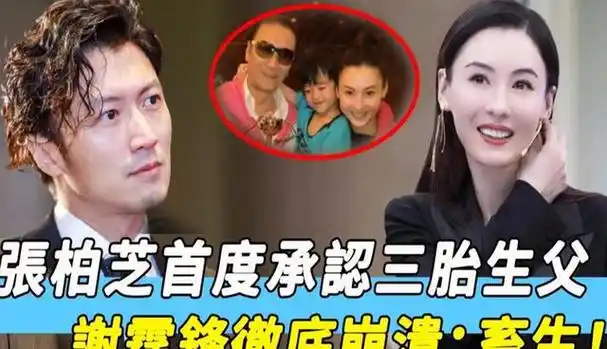 张柏芝再度怀孕?谁是她四胎的父亲?