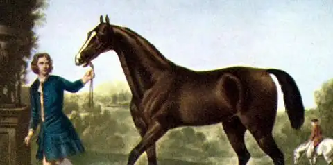 马几把有多大图片马几把叫什么