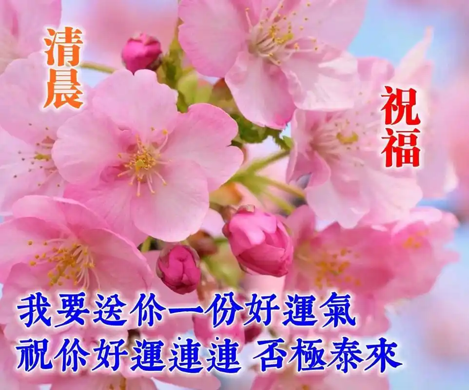 非常好看的早上好问候图片 发朋友圈漂亮的早安祝福唯美图片