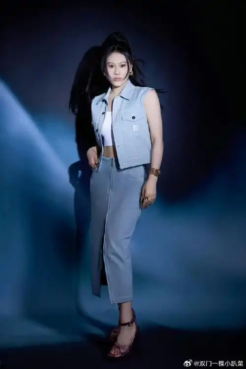 央视喊话袁娅维支援歌手