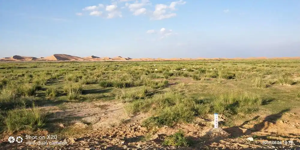 穿越腾格里沙漠公路,遏见苍天般的阿拉善