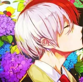 轰焦冻绿谷出久情侣头像