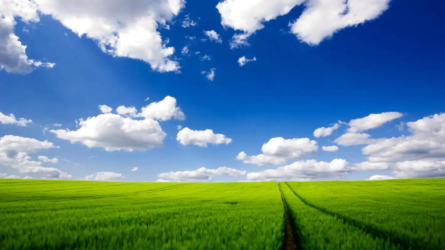 > 碧绿的绿色唯美清新植物护眼高清桌面壁纸(1920x1080)