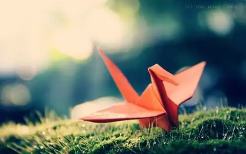 千纸鹤唯美意境图等待的千纸鹤