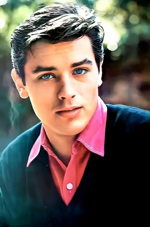 进来看阿兰德龙