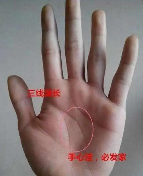 手相三丘饱满,手相福禄寿三丘隆起,夫妻必离婚的手相