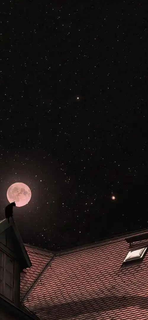 暗色调手机壁纸:只怪太美丽