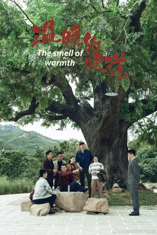 2020年全面建成小康社会,4部乡村题材电视剧有看头