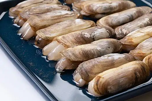 海鲜贝类蛏子