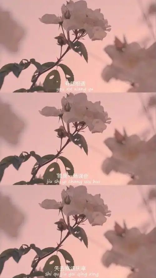 三屏- 堆糖,美图壁纸兴趣社区