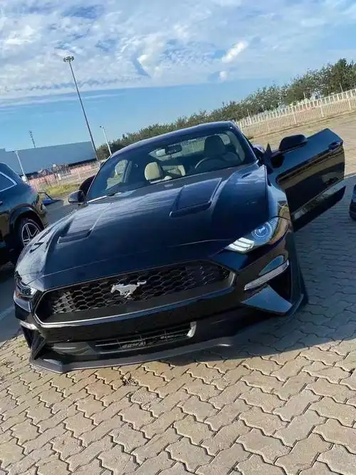 全新福特野马23t展现独特魅力