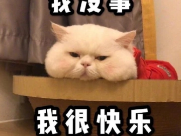 适合发在朋友圈的可爱沙雕文案 笑晕在厕所