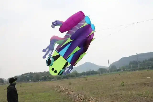 青蛙风筝 【来源:千山晚报】 版权归原作者所有,向原创致敬