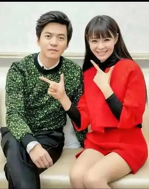 李健夫妻都是清华学霸却要丁克一生,他给出的理由令