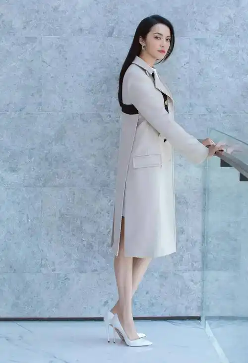 大嘴女神姚晨的性感高跟鞋_尖头_黑色_女明星