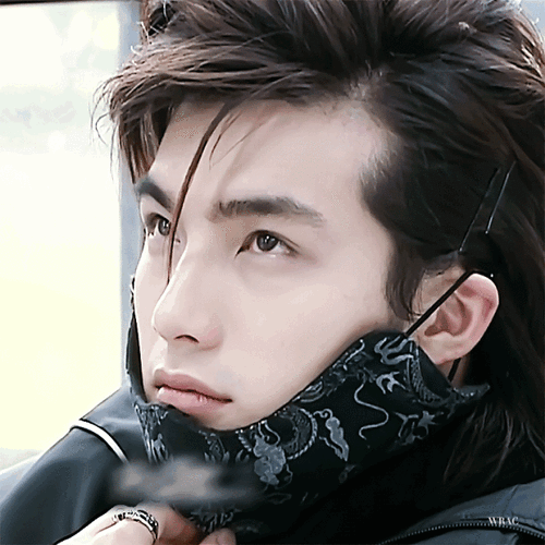 男神|记者|贺军翔|偶像剧_网易订阅