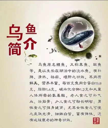 酸汤乌鱼大餐空降保定!现杀现做,完全无刺,只涮7秒,入口即化!