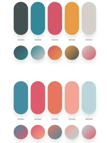 流体熊颜色搭配攻略(流体熊怎么转移) - 科学问题 - 知世金融网