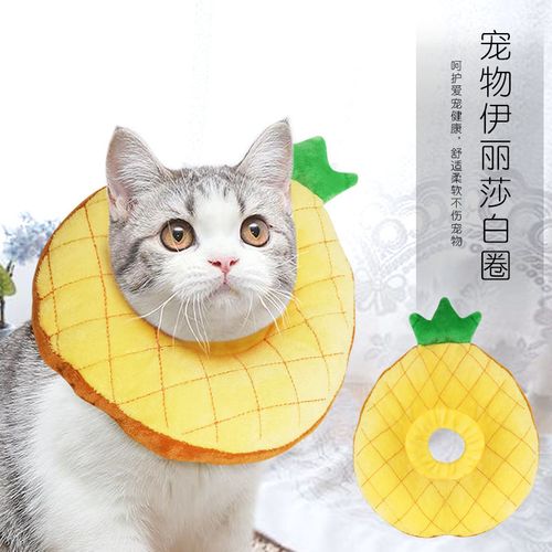 猫咪脖圈防舔防咬绝育术后耻辱圈猫脖套菠萝猫项圈宠物伊丽莎白圈