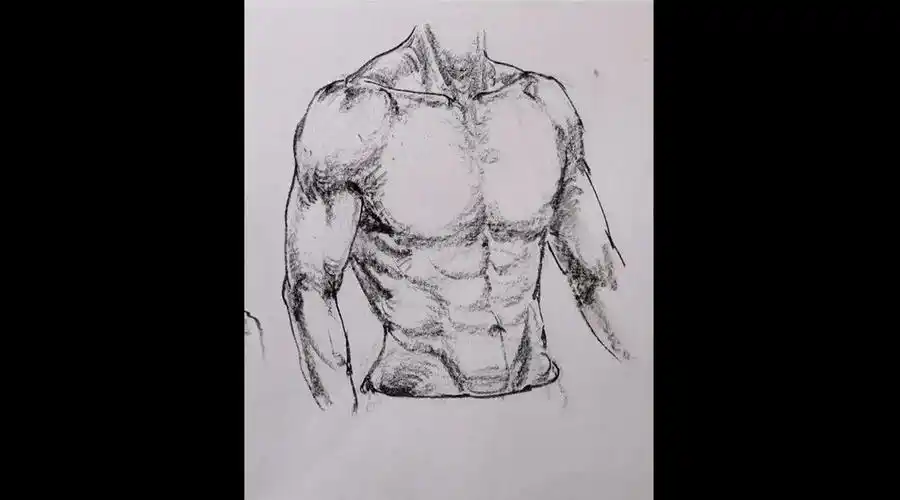 陌客老师速写男性躯干,人体张力十足
