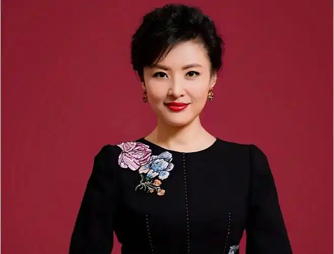 中央电视台10大漂亮女主持,个个美丽动人!你最喜欢谁.