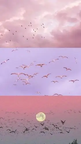 三屏手机壁纸分享