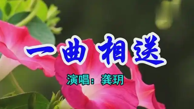 龚玥一首经典情歌《一曲相送》好听极了