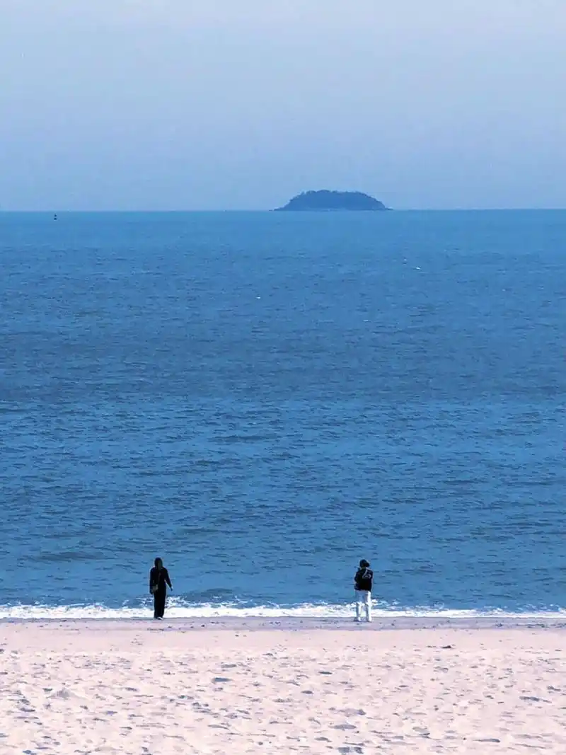 不太想表达的时候 总想用拍的方式[吐] 代替想说的 就这样 安安静静地