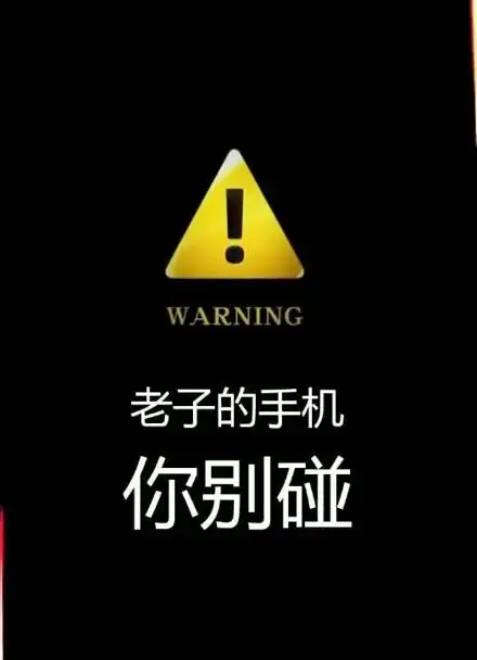 老子的手机你别碰#高清动态壁纸