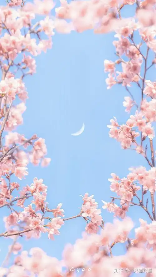 想获得更多好看的图片欢迎关注公众号:优图文库