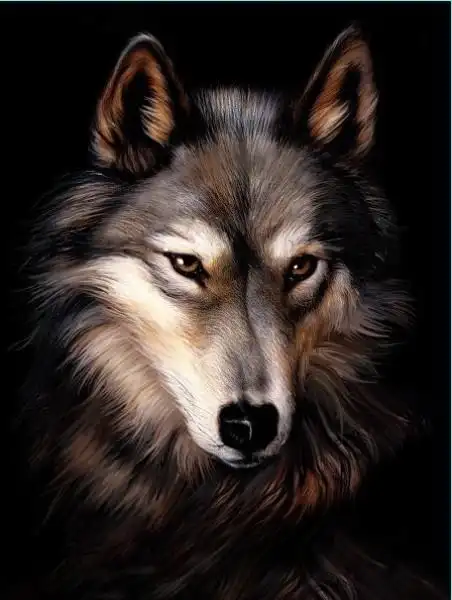 全国三维立体画批发