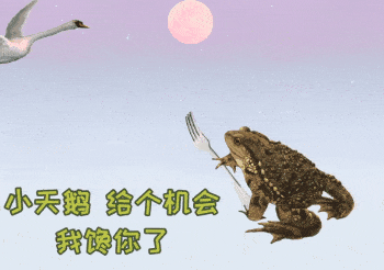 iiiiiiiiiiiiiiiiiiiiiiiiiiiiiiiiiiiiiiii沙雕熊猫头其实是一只戏精